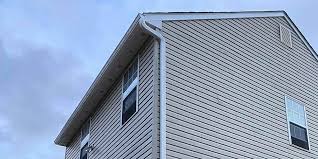 Best Custom Siding Design  in St Leon, IN